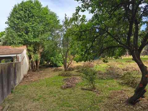 TERRENO - ROLDAN -  COTOS DE LA ALAMEDA