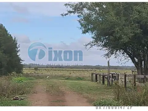 Alto Los Cardales - Hectareas Venta