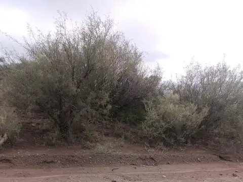 Terreno en  VENTA