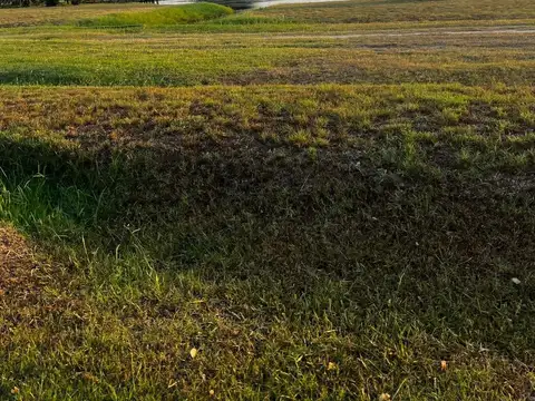 Terreno en Venta de 1834,0 m2