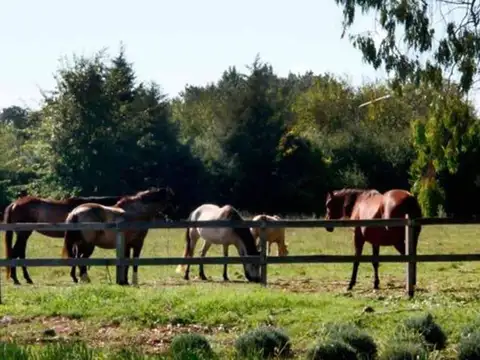 VENTA LOTE LAGUNA  CARDALES LINDERO PREDIO UAR