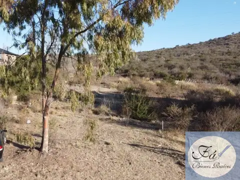 Potrero de los 100