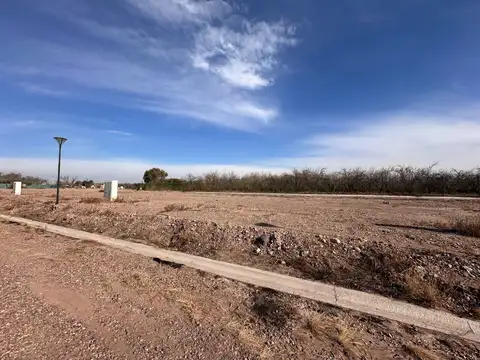 Terreno en Venta en General Gutiérrez, USD 17.500