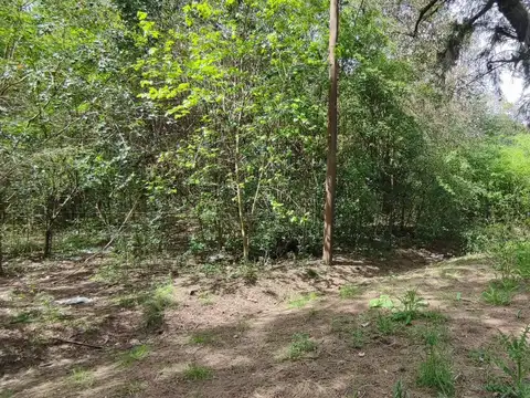 Terreno en  venta 60 x 98 en abasto LaPlata