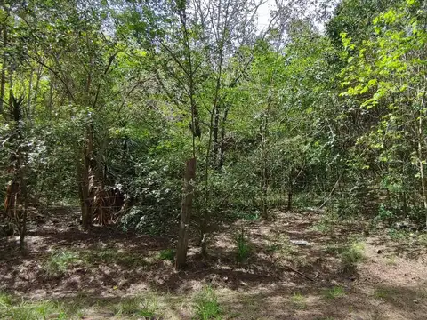 Terreno en Venta en Abasto, USD 59.000