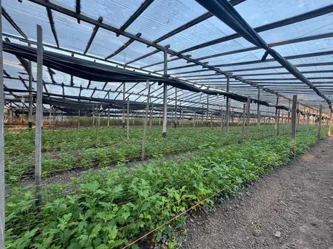 CAMPO EN VENTA  EN ABASTO SOBRE RUTA 36