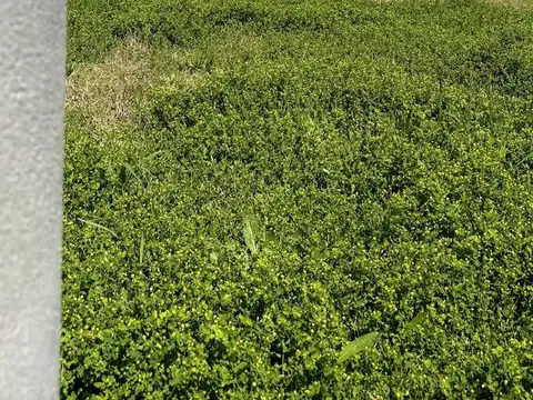 Parque industrial - Unidad 31 100