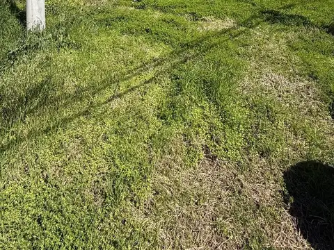 Terreno en Venta en Esperanza, USD 70.000