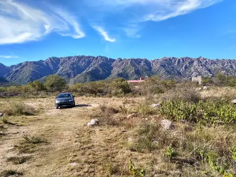 Arroyo Cortaderas 500