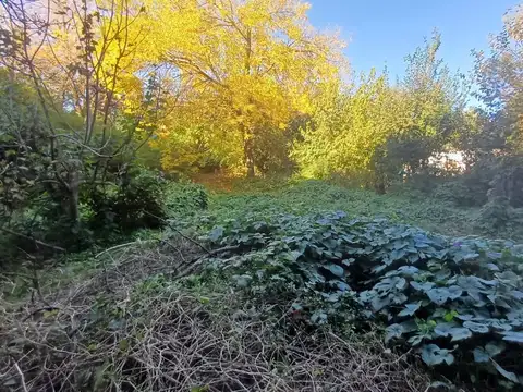 VENTA QUINTA AMPLIO TERRENO VIRREY DEL PINO