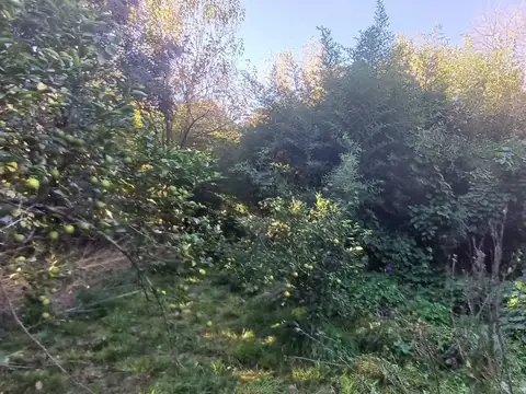 Quinta en Venta en Virrey del Pino, USD 70.000