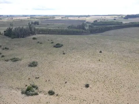 Campo en Lavalleja de 228ha