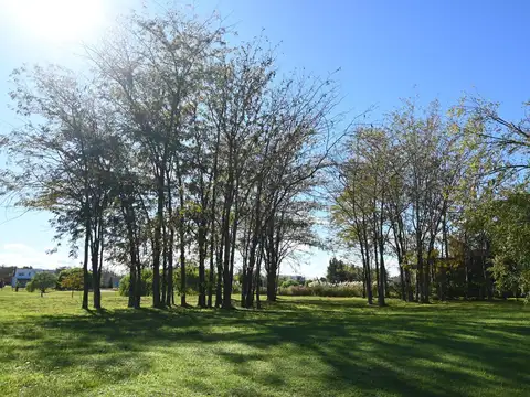 Terreno en venta en Estancias Del Pilar barrio Golf