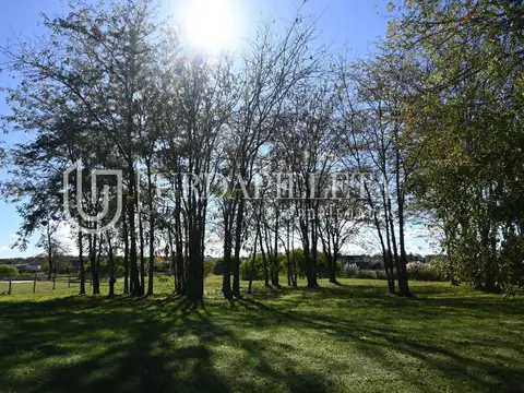 Terreno en Venta de 2037,0 m2