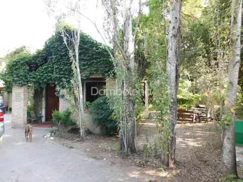 Mendoza 4200