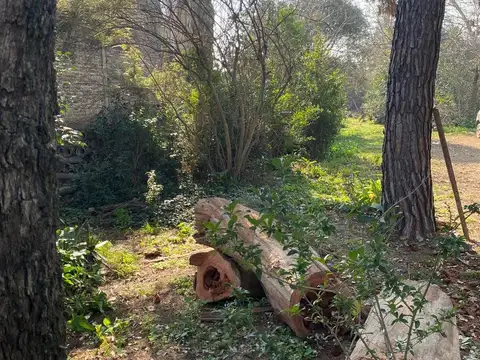 Aristobulo del Valle  al 1700