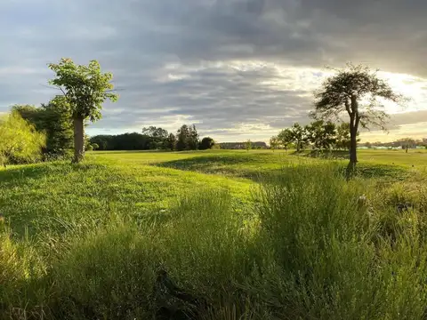 Vjo. Venta De Lote En En Medal Country Club, Pilar