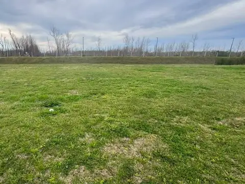 Terreno en Venta de 797,0 m2