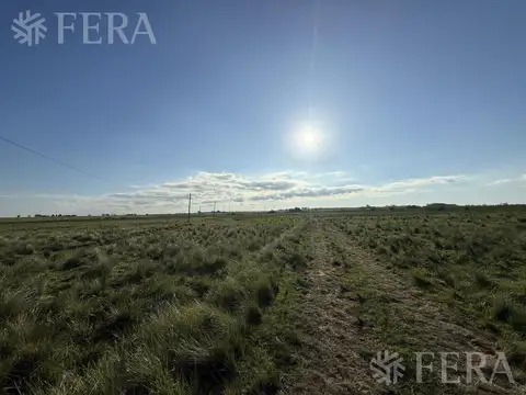 Venta campo de 31 hectáreas en La Plata