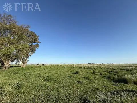 Venta campo de 31 hectáreas en La Plata