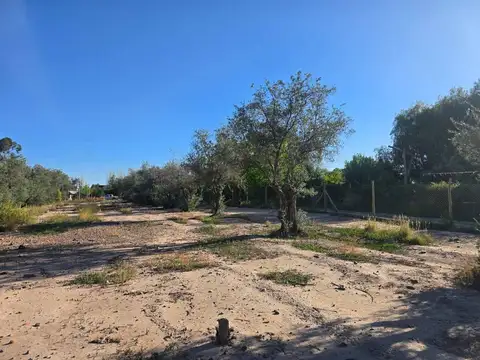 Terreno en Venta de 3100,0 m2