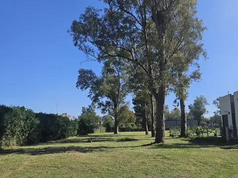 Los Abedules 4100