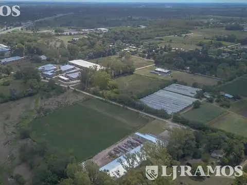 Pavón, Exaltación de la Cruz