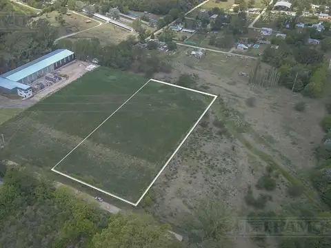 Pavón, Exaltación de la Cruz