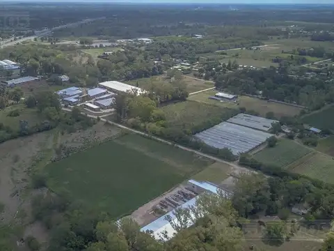 Pavón, Exaltación de la Cruz