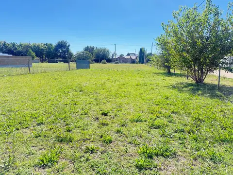 calle Santa fe s/n esquina Testa Diaz 2000