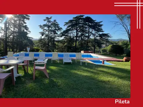 Esteban Echeverría 100