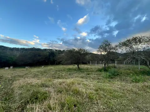 Terreno en Venta de 717,0 m2