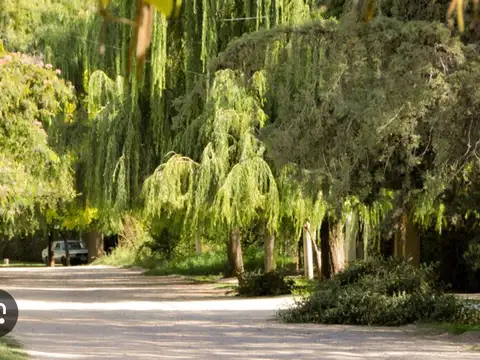 Venta lote callejon privado en chacras de coria