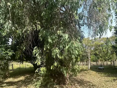 CHACRA DE 13300 M2 CON MEJORAS EN LOS CARDALES