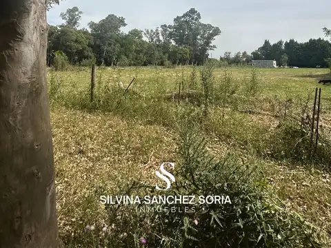 CHACRA DE 13300 M2 CON MEJORAS EN LOS CARDALES