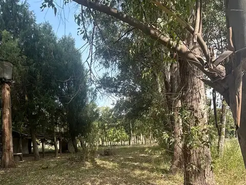 CHACRA DE 13300 M2 CON MEJORAS EN LOS CARDALES