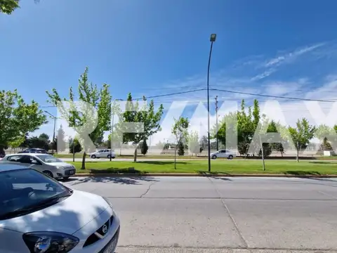 Local en Alquiler 1 año