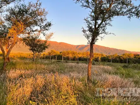 Terreno en Venta de 1600,0 m2