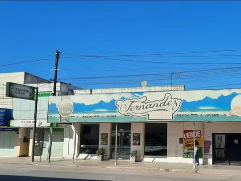 Comandante Fernandez 300