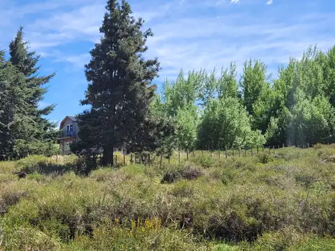 Terreno en Venta de 1250,0 m2