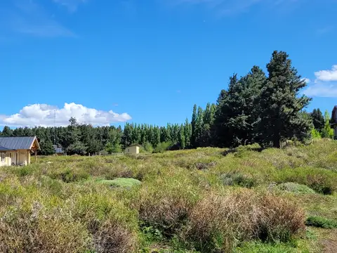 DOS Lotes frente al Lago Huechulafquen y con vista al Volcan Lanin- Junin de los Andes- Provincia del Neuquén