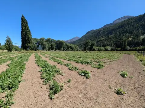 Terreno en Venta en El Hoyo, USD 43.000