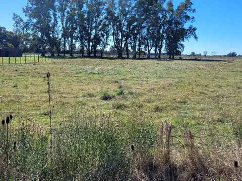 Terreno en Venta en Manuel Jose Garcia, USD 50.000