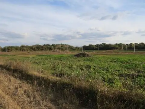 Ruta Provincial E53 100