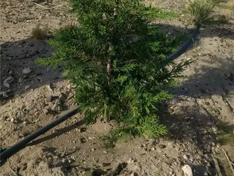 Terreno en Venta de 19250,0 m2