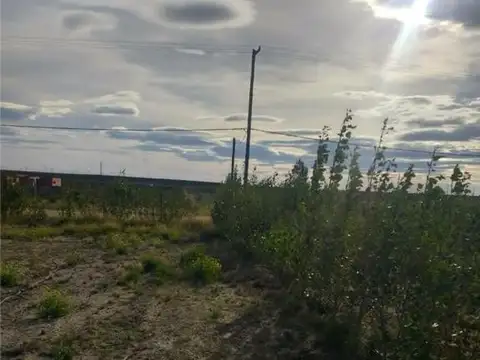 Lote 2 has en el Doradillo, Etapa 4