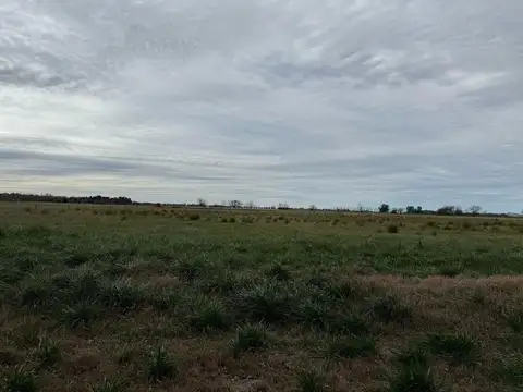 Venta Lote S.Miguel del Monte chacras S.Pablo UF13