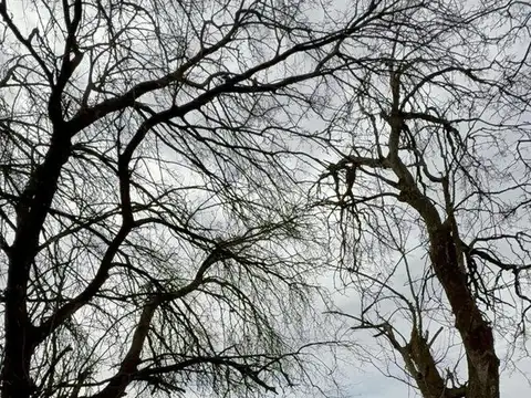 Terreno en Venta de 13000,0 m2