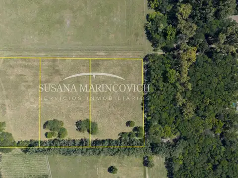 Terreno en Venta de 10000,0 m2