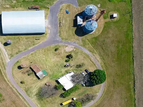 VENTA DE CAMPO PRODUCTIVO DE 4 HECTAREAS EN FIRMAT